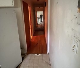 12 Jun 12 2023 11 51am ZL4B